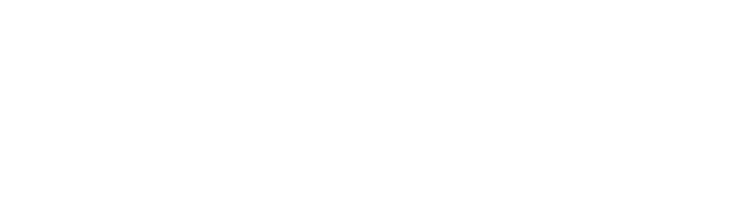 Gott Solutions Ltd